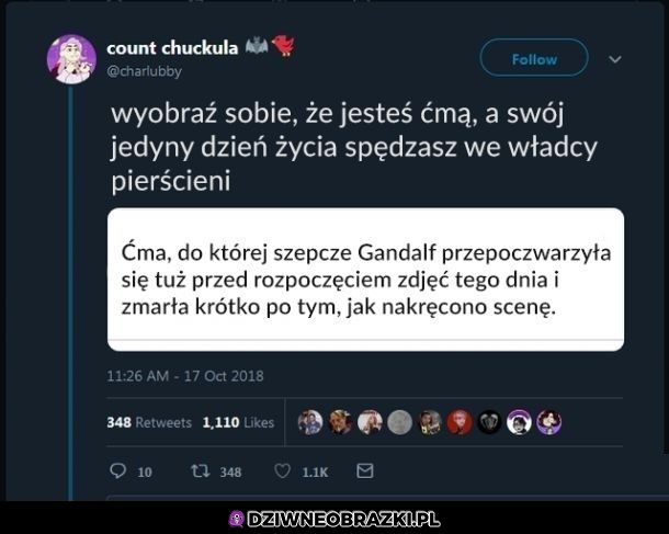 Ćma