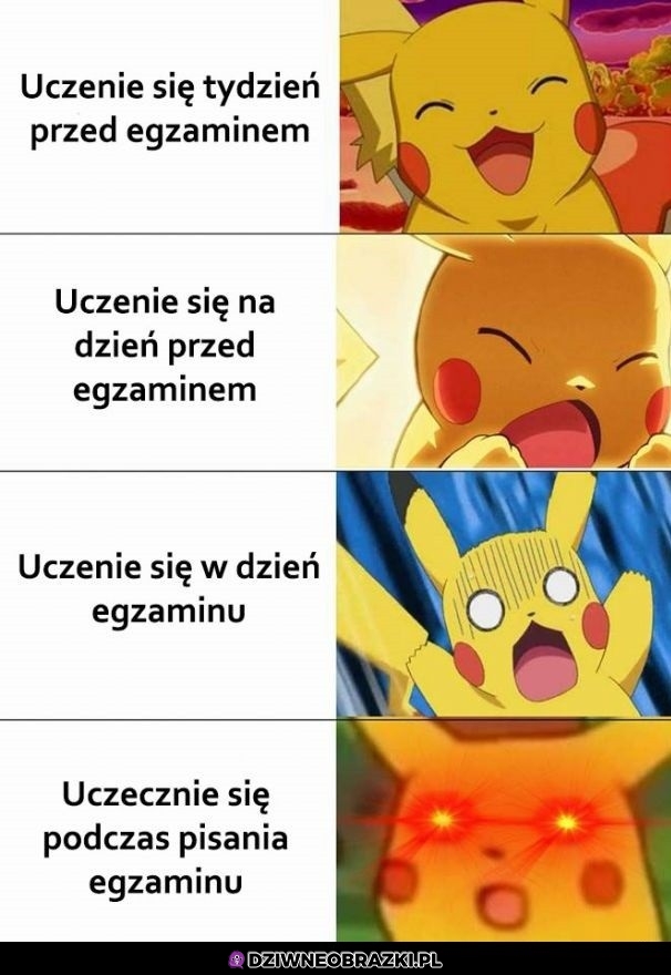 Poziomy uczenia się