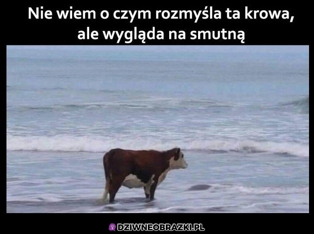 Zamyślona