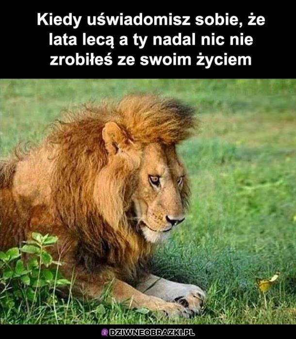 Ten uczuć