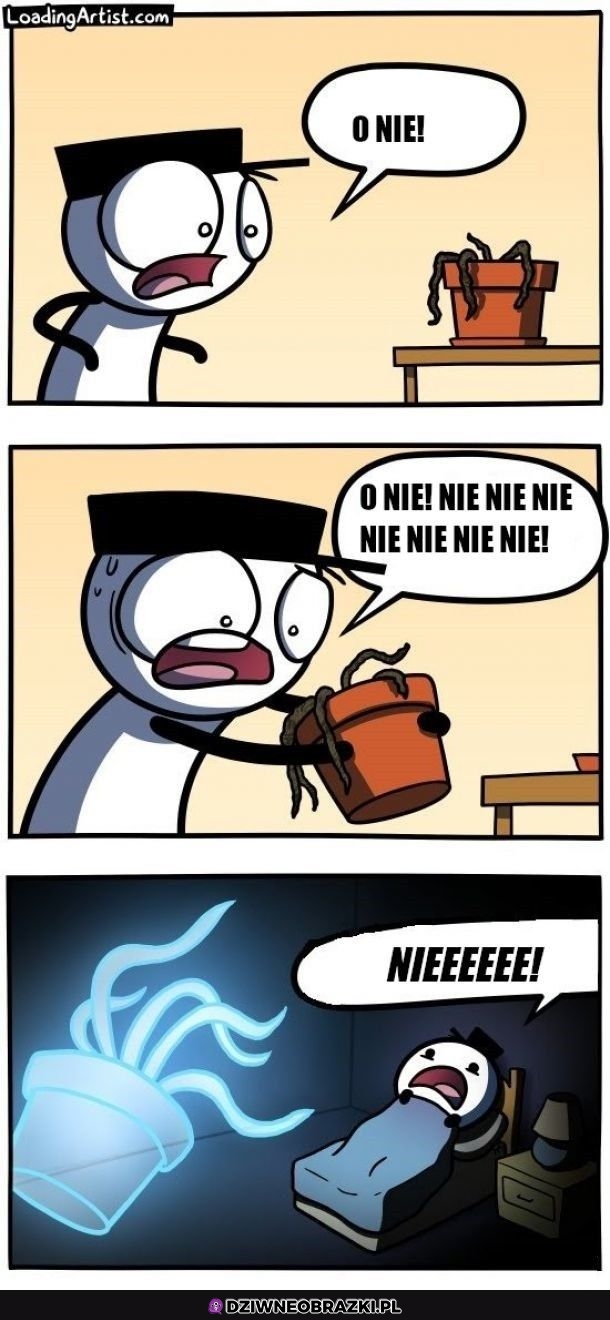 O nie