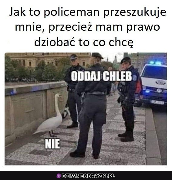 Jak to?