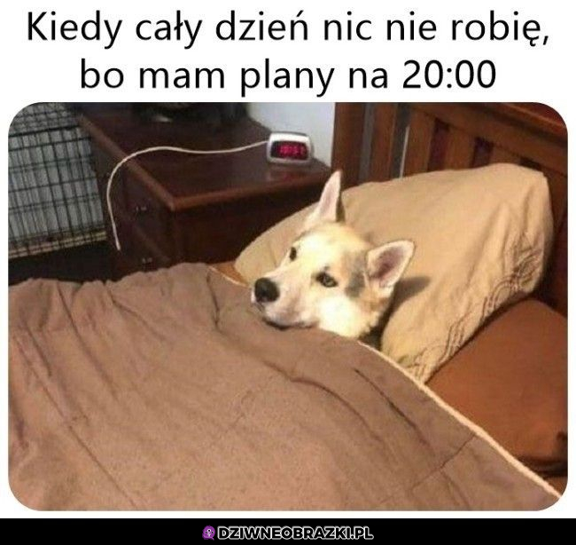 Tak to wygląda 