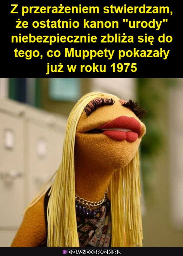 Świat zatacza mapetowe koło 
