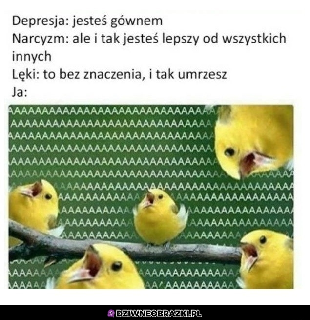 Te rozkminy