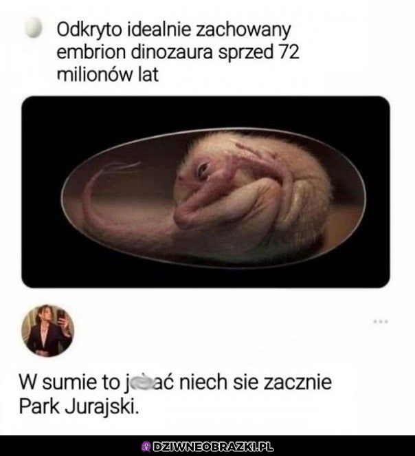 A niech się zacznie