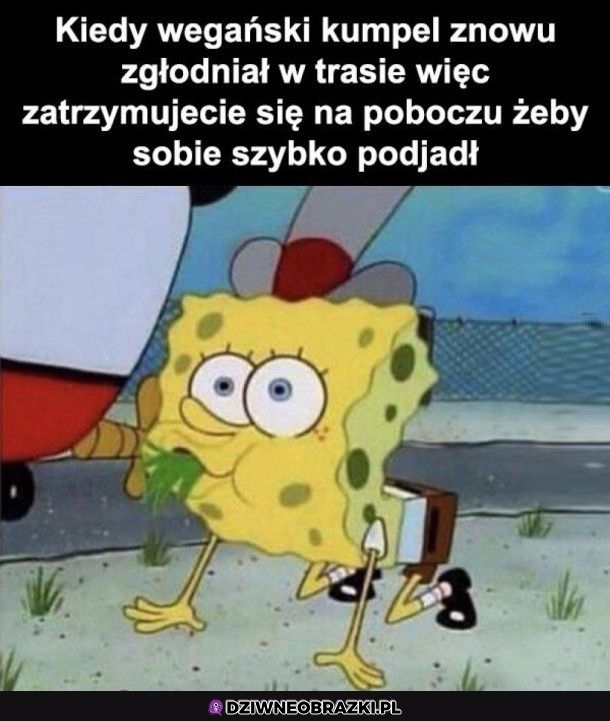 Szybki pitstop