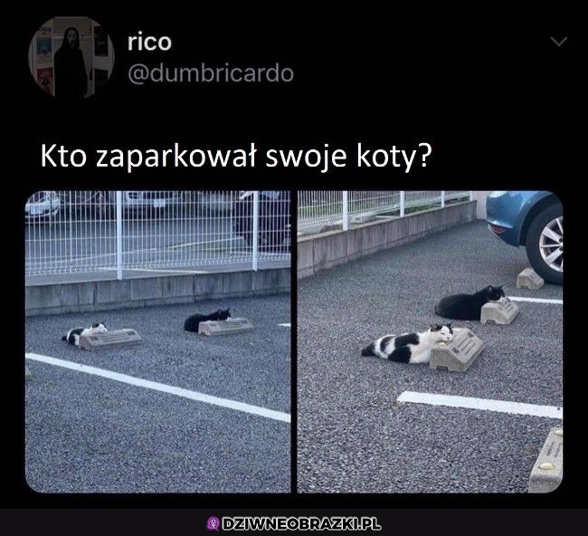Zaparkowane