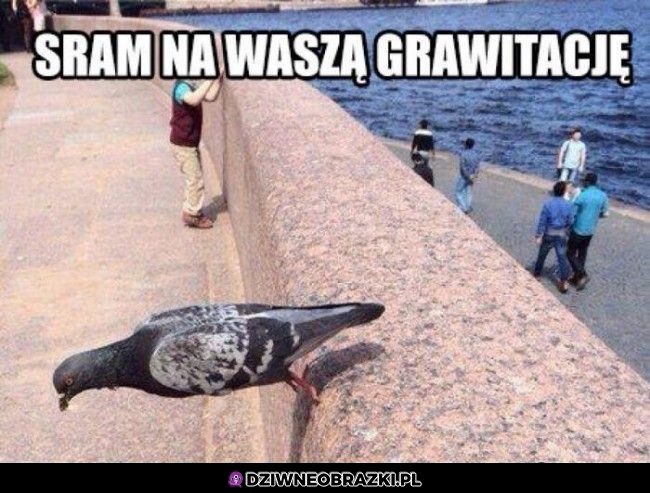 Jaka grawitacja?