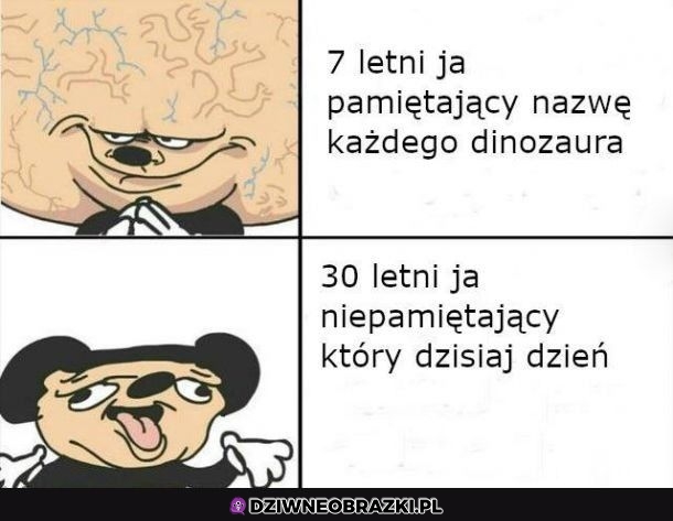 To ja