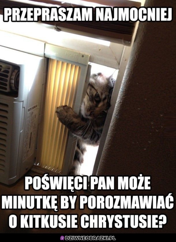 Przepraszam najmocniej