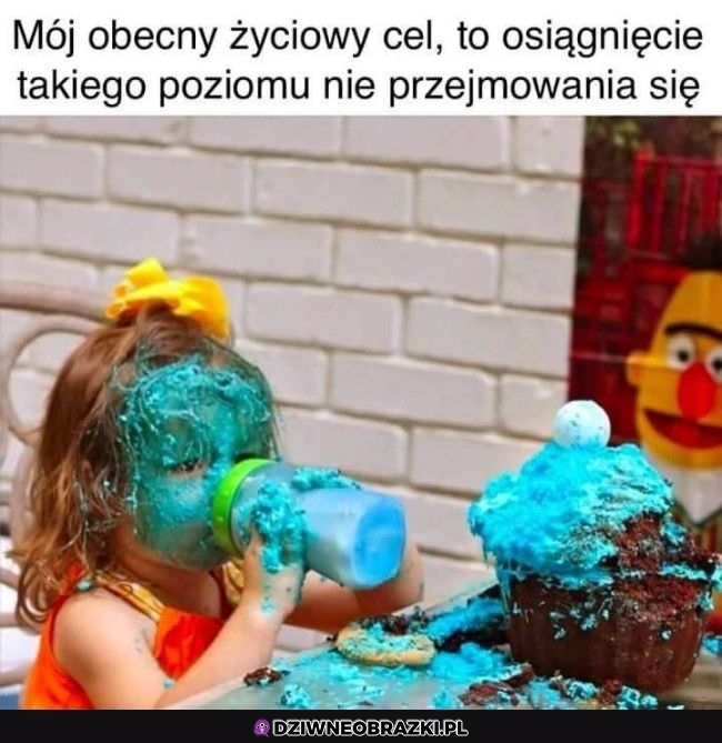Niezły poziom