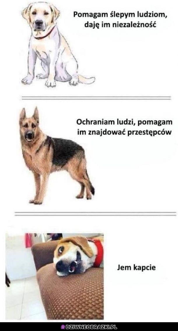 Pieseły