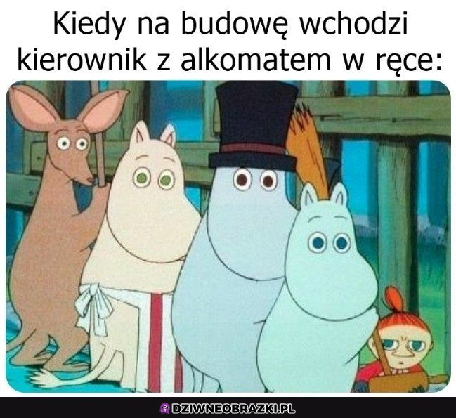 Szok