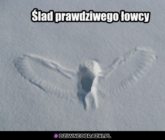 Łowca