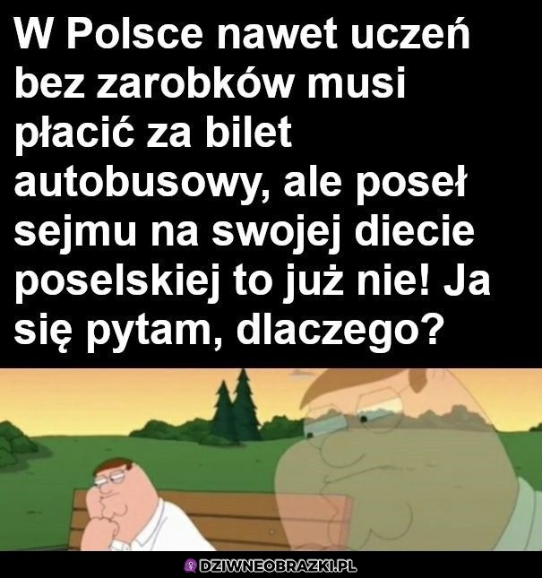 Właśnie, dlaczego?