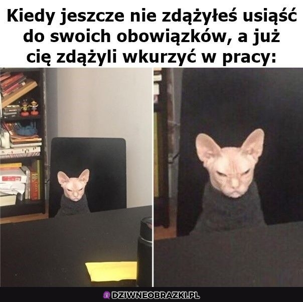 Ten moment Ten moment