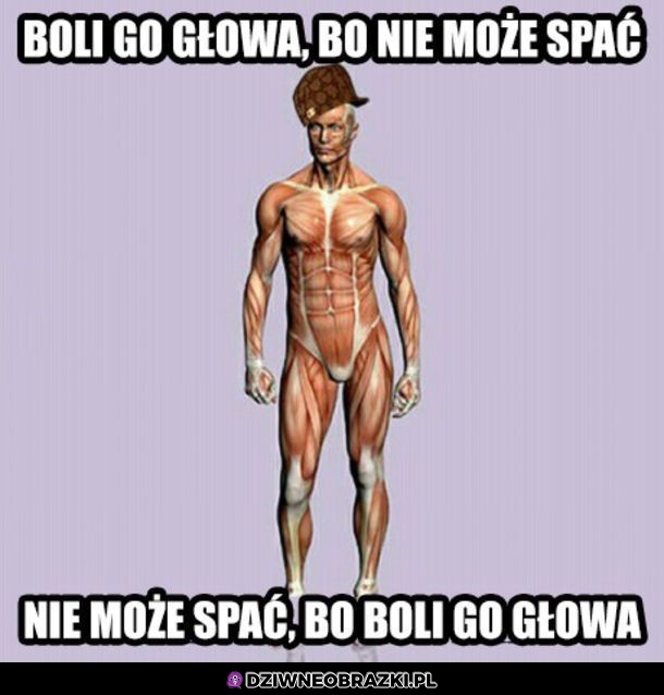 No logiczne