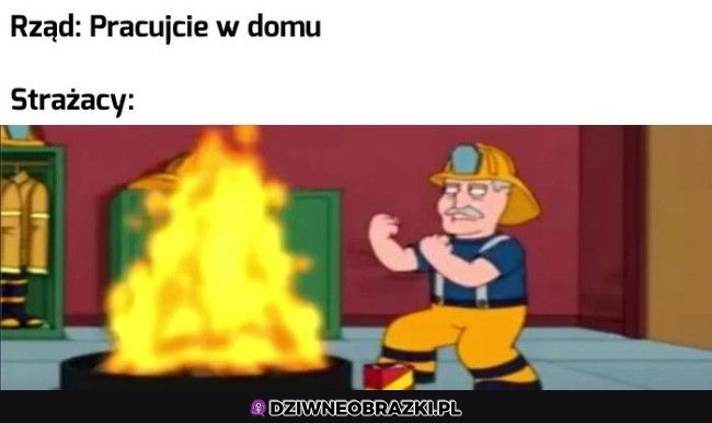 No spoczko