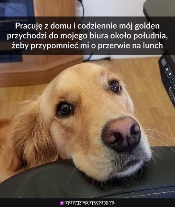 Spoko przypominajka