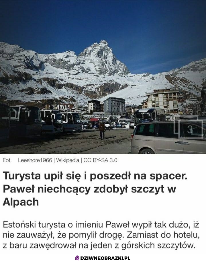 Dobry zawodnik