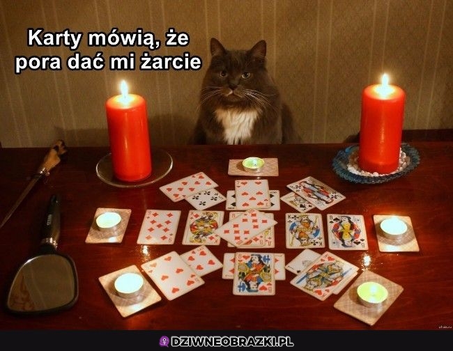 I to najwyższa pora