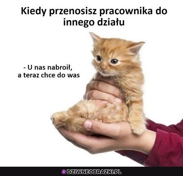 Przenoszenie pracownika