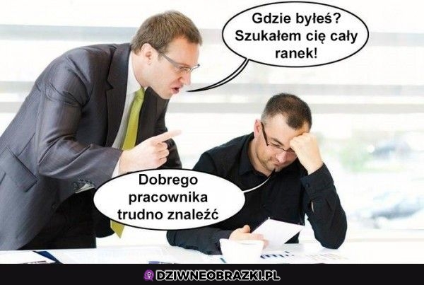 Właśnie