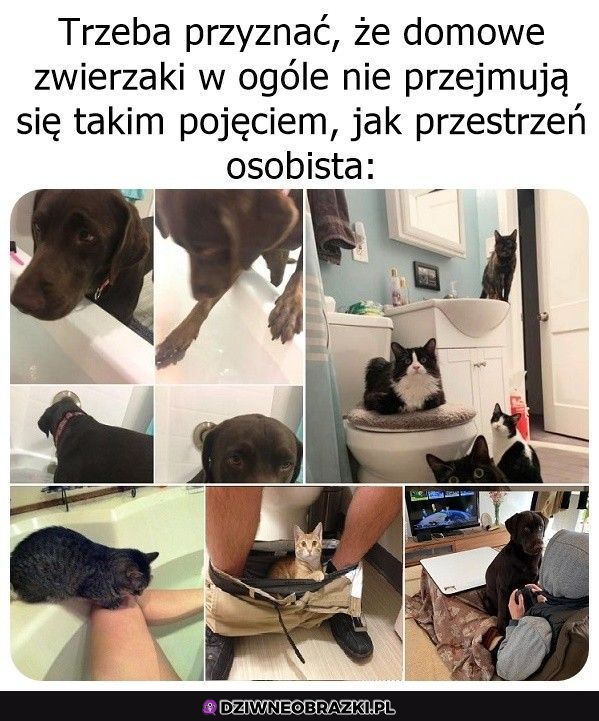 One są najukochańsze <3