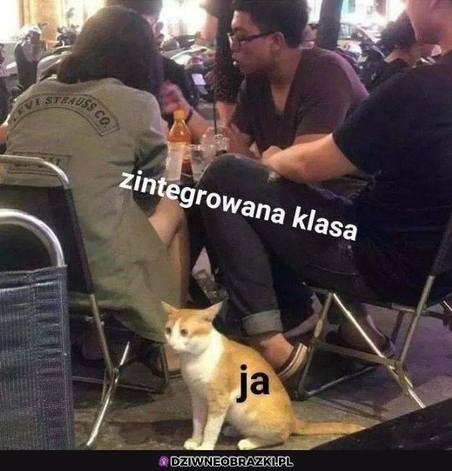 To ja