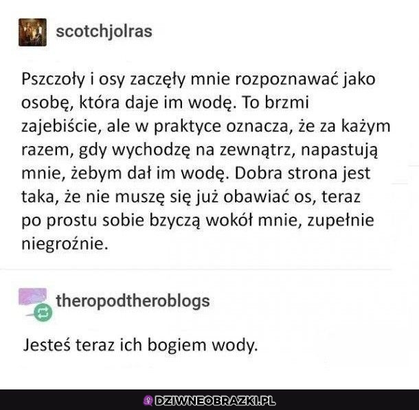 Kiedy dla owadów stajesz sie Bogiem wody