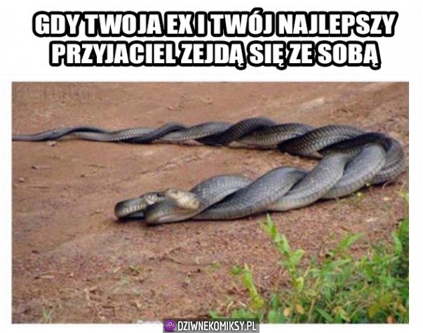 Tak to wygląda