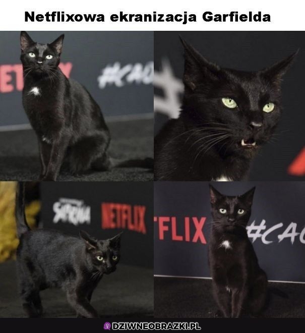 Gdyby Netflix kręcił Garfielda