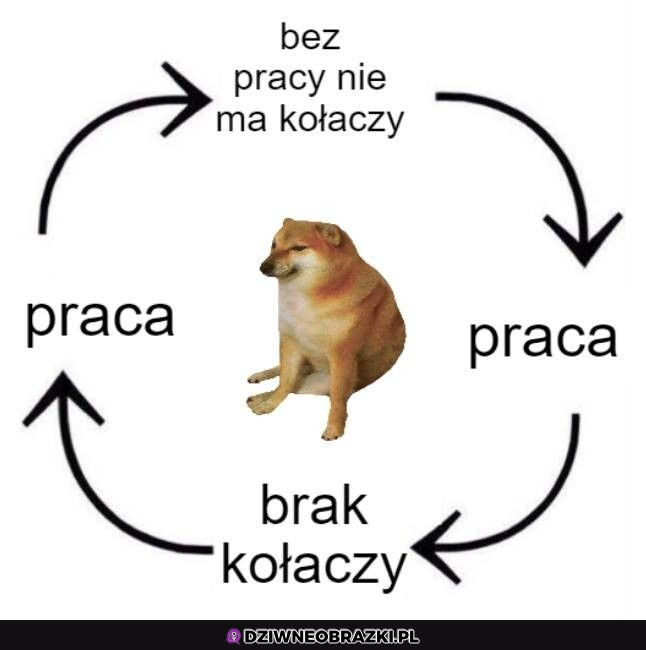 Kołacze 