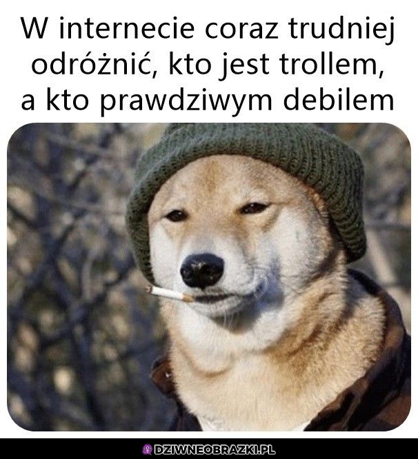 Zaciera się różnica