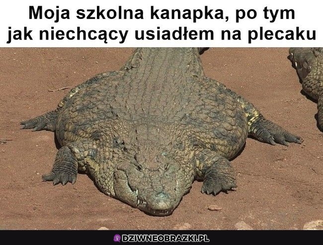 Taki jej wygląd