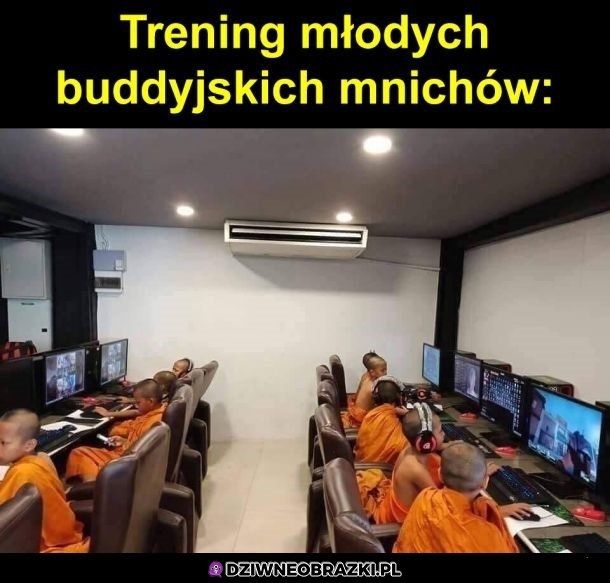 Trenują