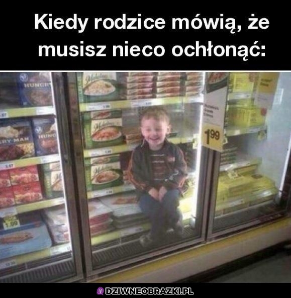 Ochłoń Ochłoń