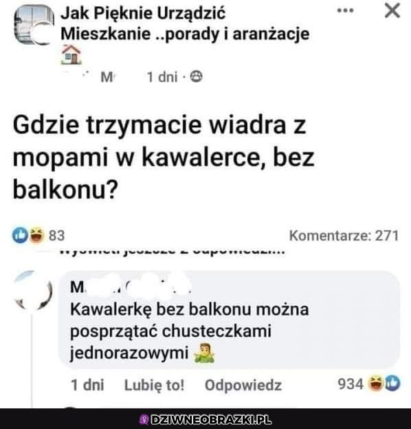 Dokładnie, po co mop