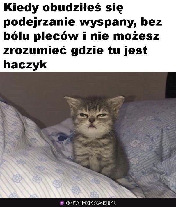 Chyba w nocy sprzedałem duszę diabłu
