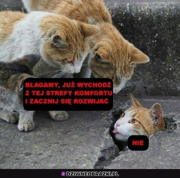 Wychodź stąd