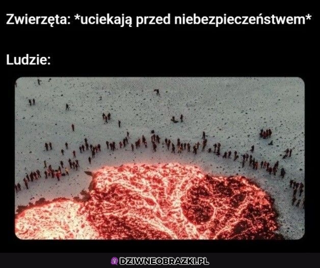 Jakie niebezpieczeństwo?