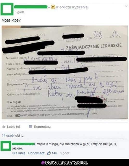 Rozszyfrowane