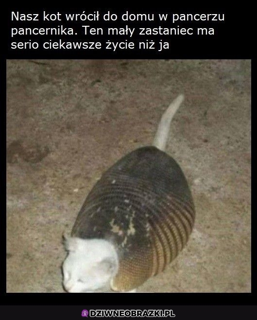 Ciekawe co za niego dał