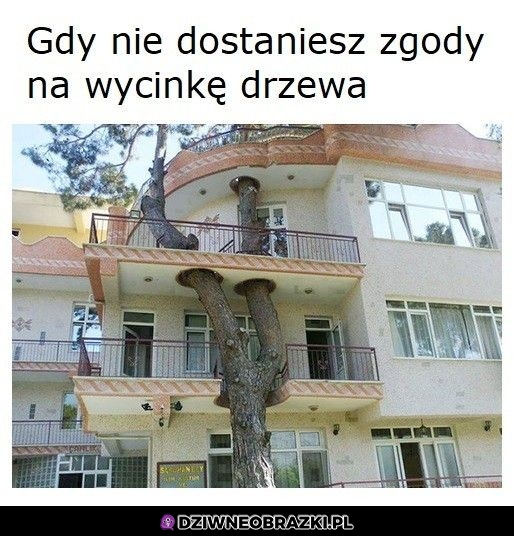 Trzeba sobie jakoś radzić