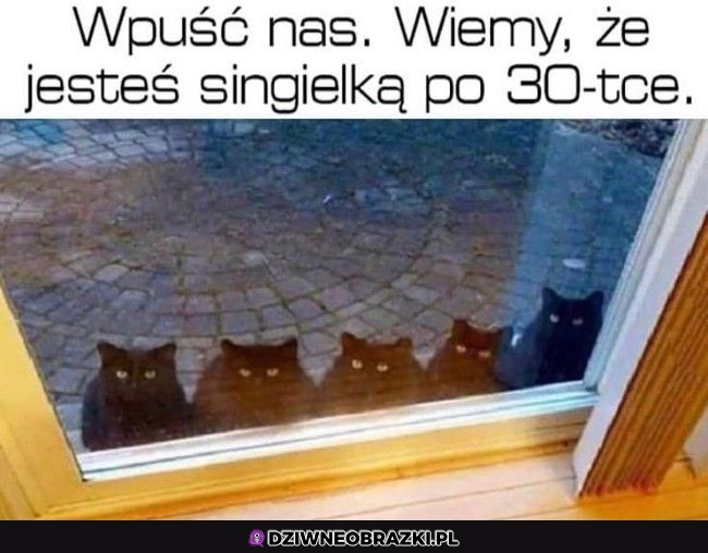Wpuść je