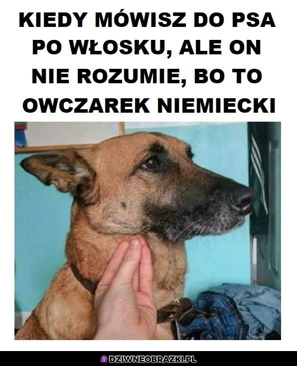 Nie dogadają się