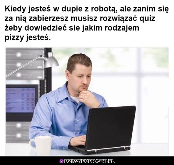 Tylko jeden quiz jeszcze