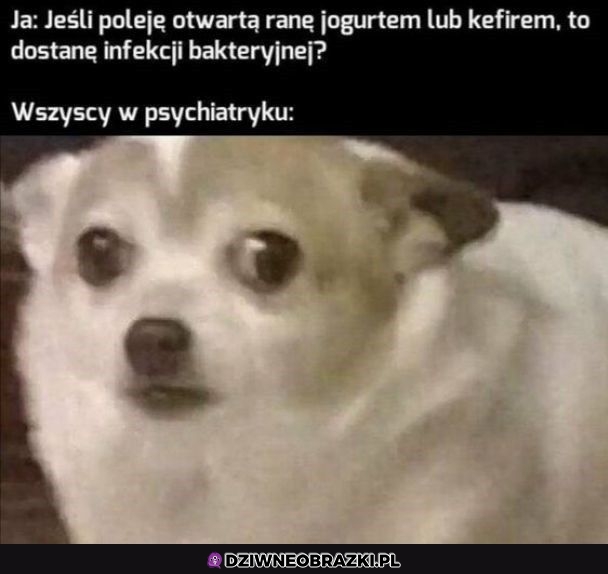 W sumie dobre pytanie W sumie dobre pytanie