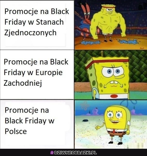 Jak było w tym roku?